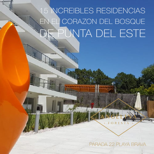 SOCIO - Angelina Foresta